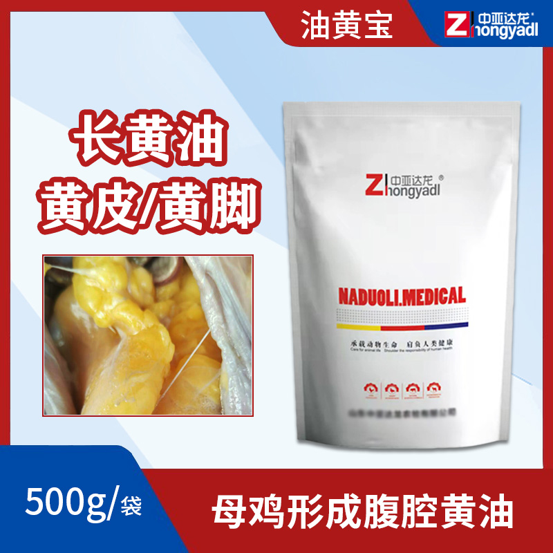 达龙油黄宝母鸡专用快速增加体内