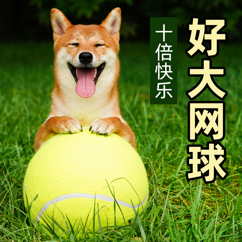 狗狗最爱的超大快乐网球