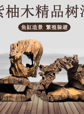 紫柚木树洞沉木龟晒台鱼缸造景树桩免煮木墩天然摆件繁殖躲避木头