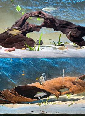 小米鱼缸造景20-40cm精品沉木摆件天然紫柚木南美缸树桩拱桥龟台