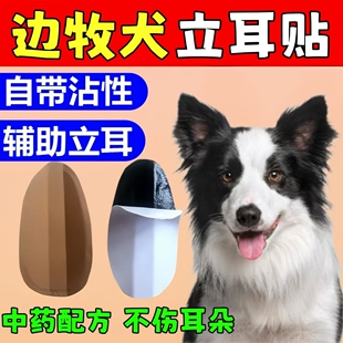 边牧专用立耳贴小狗辅助扶耳贴竖耳器立耳夹子幼犬立耳神器立耳朵