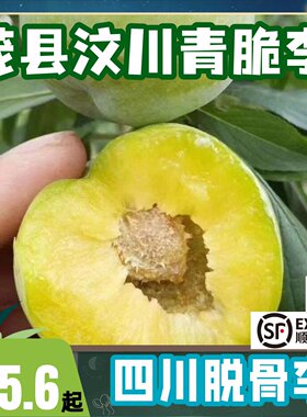 顺丰青脆李脱骨空心土李子脆甜