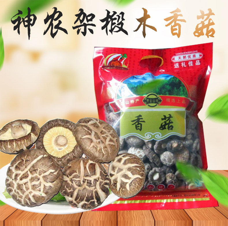 椴木茶花菇价格 椴木茶花菇图片 星期三