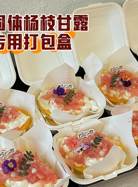 网红甜品打包盒创意固体杨枝甘露专用打包盒白色方形外卖盒pet