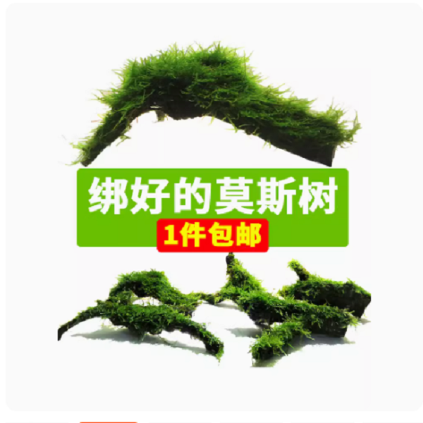 鱼缸造景莫斯沉木天然真水草慕斯