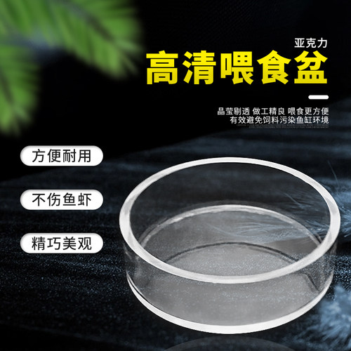 玻璃喂食盆水晶虾观赏螺