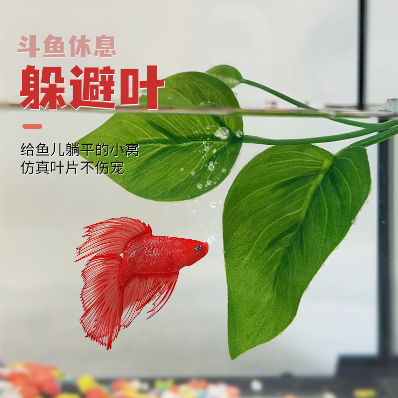 斗鱼休息产卵叶孔雀鱼仿真水草