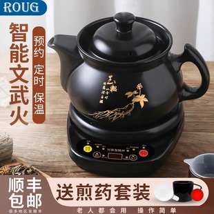 德国高端全自动煎药壶中药电煎壶家用煲药中医煮熬药罐砂锅炖药煲