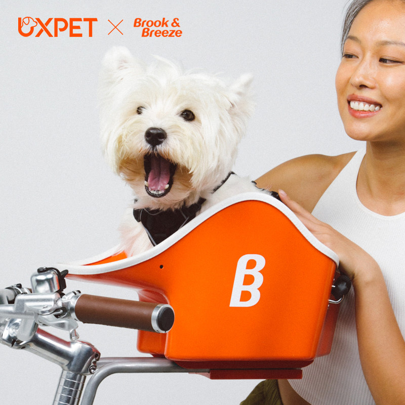 骑小伴自行车公路山地宠物狗狗座椅前置款狗窝车载垫外出神器猫窝,宠物/宠物食品及用品,宠物推车,淘宝优惠券,粉丝福利购,淘宝优惠卷