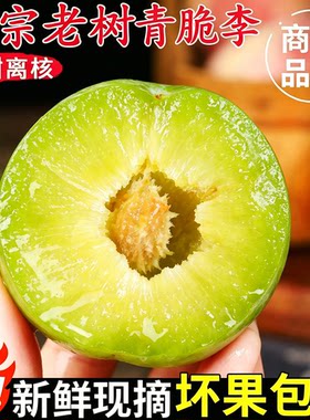 四川正宗现摘青脆脱骨李5斤装