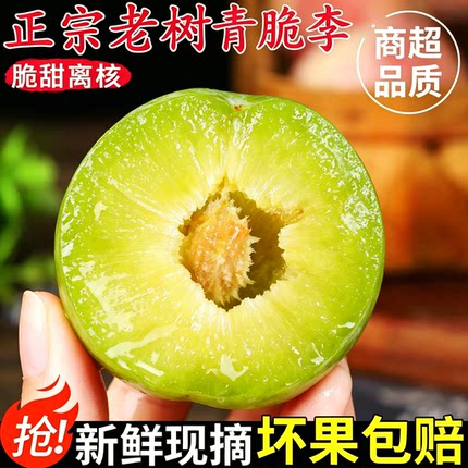 现摘正宗四川青脆脱骨李脆李清脆李子半边红5斤茵红李汶川土李子