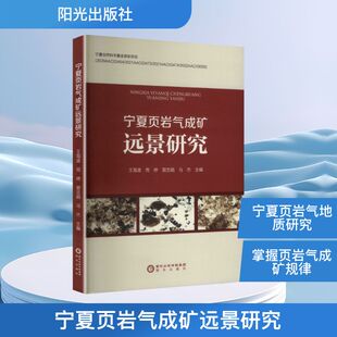 宁夏页岩气成矿远景研究 王海波 等 主编 编 自然科学总论专业科技 新华书店正版图书籍 阳光出版社