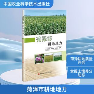 农业基础科学专业科技 社 邢继东 中国农业科学技术出版 图书籍 新华书店正版 编 主编 沙志宏 杨国敏 菏泽市耕地地力