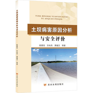 土坝病害原因分析安全评价 程素珍 等 著 建筑/水利（新）专业科技 新华书店正版图书籍 黄河水利出版社
