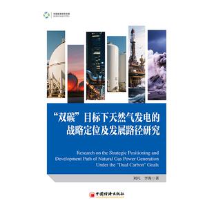 励志 图书籍 战略定位及发展路径研究 著 中国经济 李海 目标下天然气发电 刘凡 新华书店正版 中国经济史经管 双碳