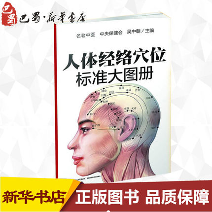 人体经络穴位标准大图册超清晰版 无 著 中医生活 新华书店正版图书籍 中国轻工业出版社