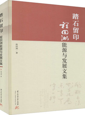 踏石留印 程回洲能源与发展文集 程回洲 著 石油 天然气工业专业科技 新华书店正版图书籍 华中科技大学出版社