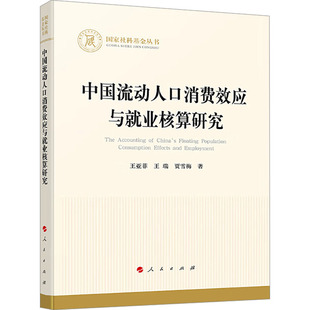 中国流动人口消费效应与就业核算研究 王亚菲,王瑞,贾雪梅 著 中国经济/中国经济史经管、励志 新华书店正版图书籍 人民出版社