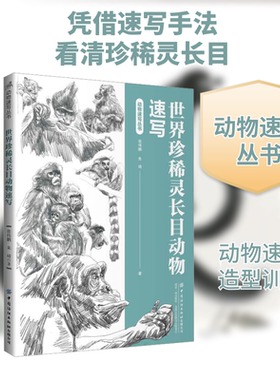 世界珍稀灵长目动物速写 张伟鹏,朱琦 著 绘画（新）专业科技 新华书店正版图书籍 中国纺织出版社有限公司
