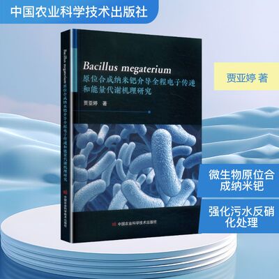 Bacillus megaterium原位合成纳米钯介导全程电子传递和能量代谢机理研究 贾亚婷 著 著 环境科学专业科技 新华书店正版图书籍