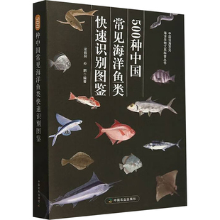 编 动物专业科技 新华书店正版 500种中国常见海洋鱼类快速识别图鉴 中国农业出版 孙鹏 图书籍 社 梁振林