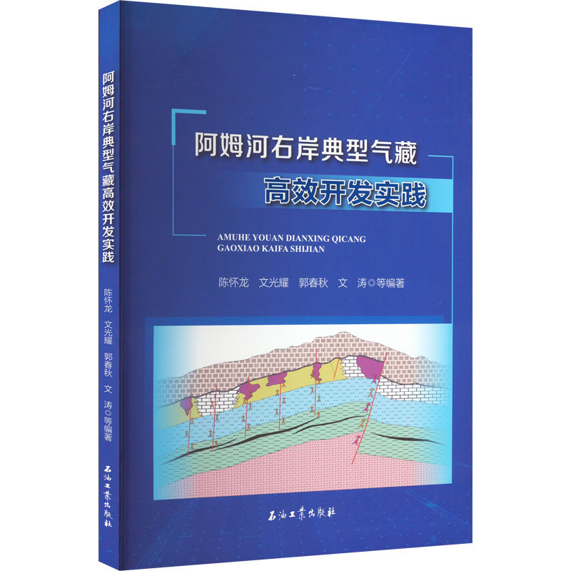 阿姆河右岸典型气藏高效开发实践 陈怀龙 等 编 石油 天然气工业专业科技 新华书店正版图书籍 石油工业出版社