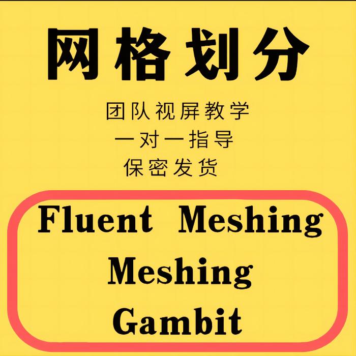 Ansys划分网格/阀体网格划分/流体网格划分 Fluentmeshing