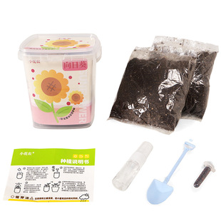 桌面擺件幼兒園學(xué)生禮品 兒童果蔬植物觀察種植小盆栽實驗套裝