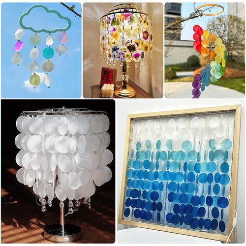 镜贝天然透明5cm彩色贝壳