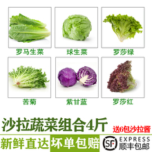 新鲜蔬菜沙拉4斤 混合食材西餐轻食沙拉生菜组合健身代餐蔬菜包