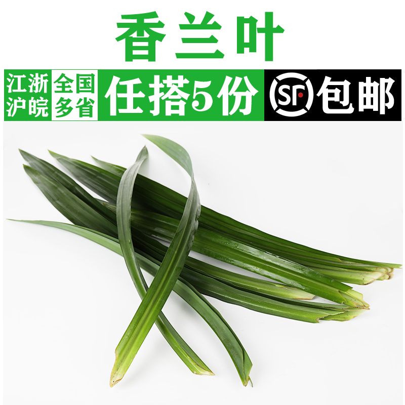 新鲜食用香兰叶500g斑斓叶千层蛋糕原料摆盘装饰烘焙奶茶商用香料