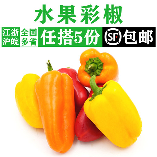 新鲜大水果彩椒500g 红辣椒黄辣椒灯笼椒生吃甜椒辣沙拉凉拌蔬菜