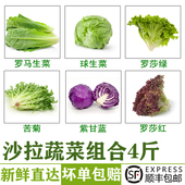 新鲜蔬菜沙拉4斤 混合食材西餐轻食沙拉生菜组合健身代餐蔬菜包