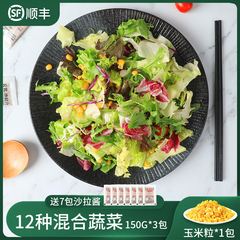 蔬菜沙拉食材西餐色拉菜混合套餐轻食新鲜蔬菜包送开袋即食玉米粒