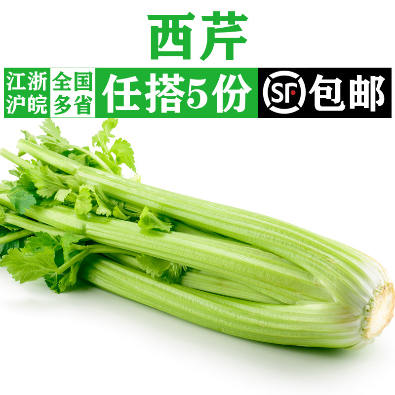 新鲜西芹2斤 大芹菜 洋芹菜 炒菜榨汁农家蔬菜西餐配菜 5件包邮
