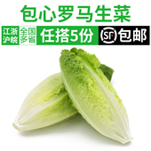 包心罗马生菜500g 罗纹生菜黄心罗马西餐新鲜蔬菜沙拉食材色拉菜