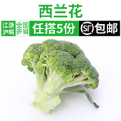 新鲜西兰花500g 西蓝花椰菜青花菜西餐配菜沙拉蔬菜时令农家蔬菜
