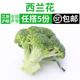 新鲜西兰花500g 西蓝花椰菜青花菜西餐配菜沙拉蔬菜时令农家蔬菜