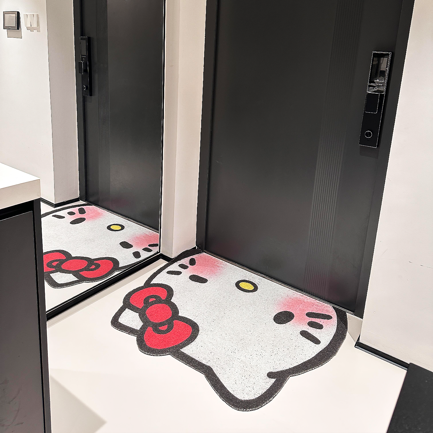 【终于选到满意的入户垫了！】