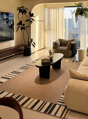 客厅地毯仿羊绒耐脏耐磨易打理法式轻奢吸水防滑房间沙发茶几地垫