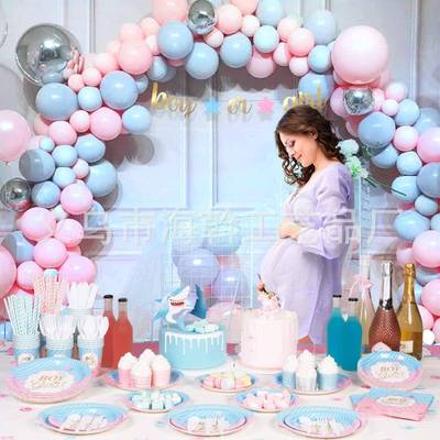 New Gender Reveal Birthday Children's Theme Party