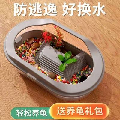 Turtle Tank, Brazilian Turtle Climbing Platform, Ecological