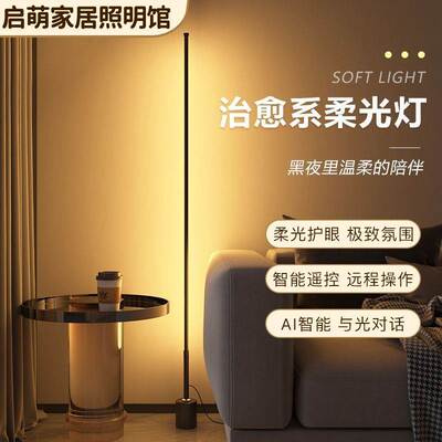 Nordic Floor Lamp Ins Simple LED Eye Protection Living Room