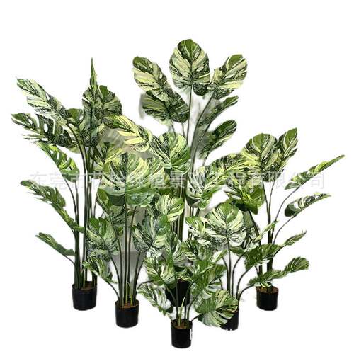 Simulation plant bonsai tortoise leaf simulation tortoise