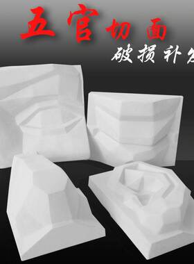 Painting Yue art plaster figure head portrait basic