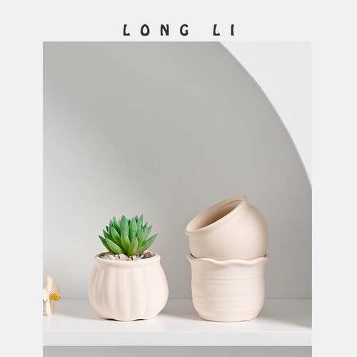 Longli ceramic fleshy flowerpot ornaments home decoration