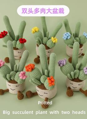2025 Finished Crocheted New Product Double-Headed Succulent