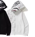 2302 White and White