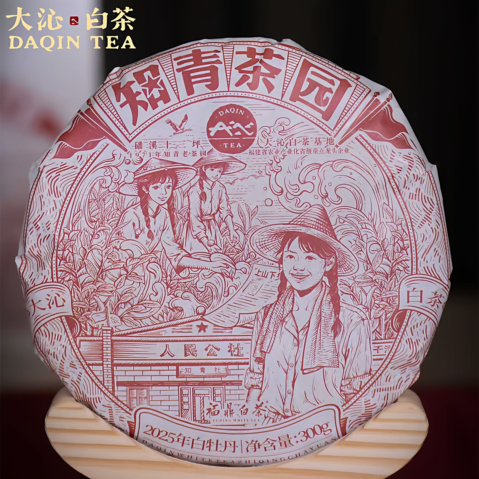 大沁白茶2025年新品福鼎白茶知青茶园白牡丹饼