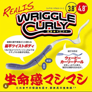 日本DUO长卷尾WRIGGLE CURLY面条虫3.8/4.8德州卡罗ShakyHade饵